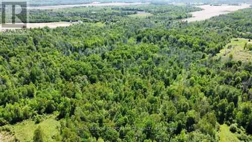 3251 Paden Road, Ottawa, ON 