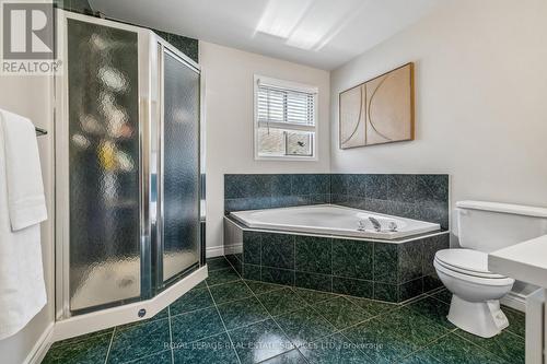 39 Liam Drive, Hamilton, ON - Indoor Photo Showing Bathroom