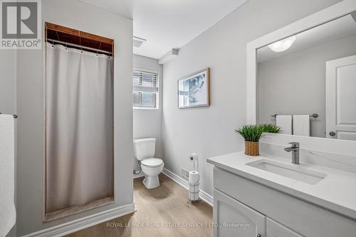 39 Liam Drive, Hamilton, ON - Indoor Photo Showing Bathroom
