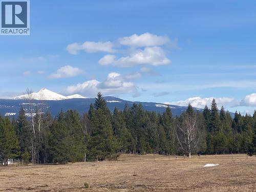 134 Wadlegger Road, Clearwater, BC 