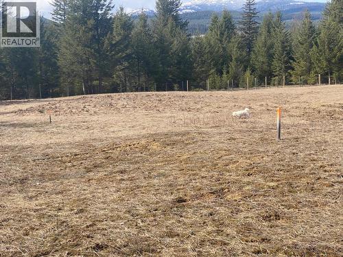 134 Wadlegger Road, Clearwater, BC 