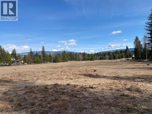 134 Wadlegger Road, Clearwater, BC 