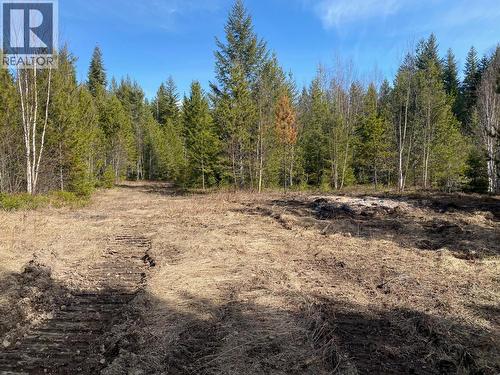 134 Wadlegger Road, Clearwater, BC 