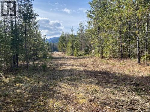 134 Wadlegger Road, Clearwater, BC 