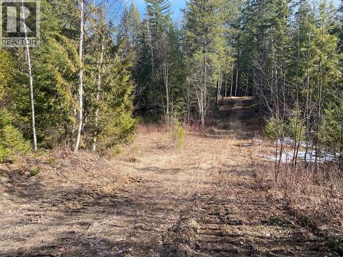 134 Wadlegger Road, Clearwater, BC 