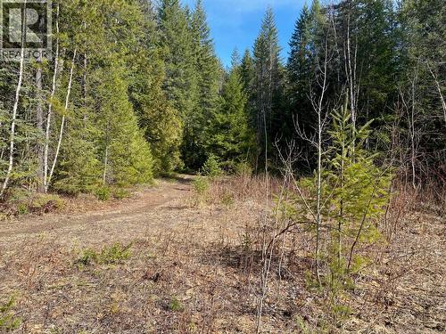 134 Wadlegger Road, Clearwater, BC 