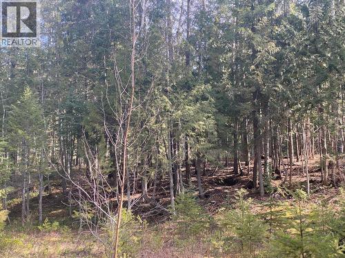 134 Wadlegger Road, Clearwater, BC 