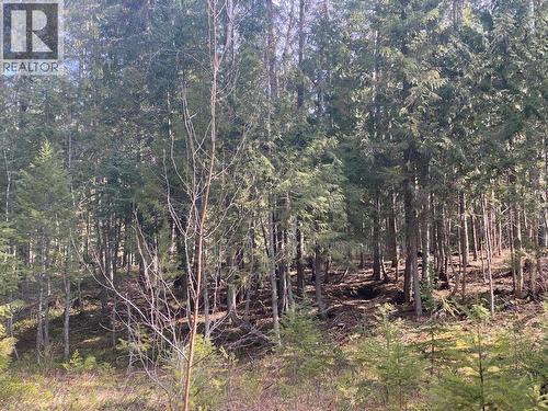 134 Wadlegger Road, Clearwater, BC 