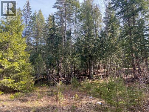 134 Wadlegger Road, Clearwater, BC 