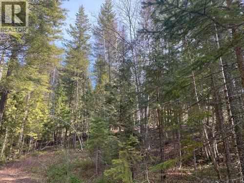 134 Wadlegger Road, Clearwater, BC 