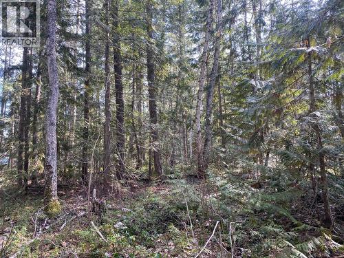 134 Wadlegger Road, Clearwater, BC 