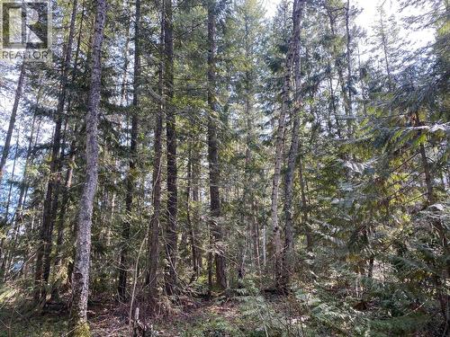 134 Wadlegger Road, Clearwater, BC 