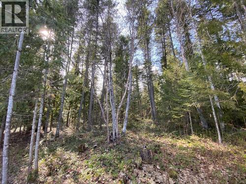 134 Wadlegger Road, Clearwater, BC 