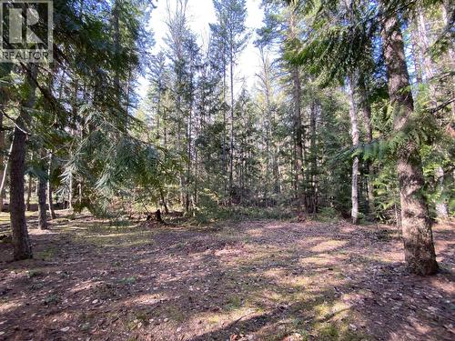 134 Wadlegger Road, Clearwater, BC 