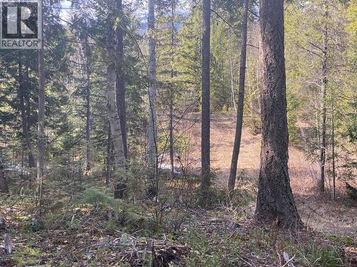 134 Wadlegger Road, Clearwater, BC 