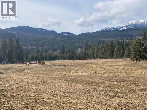 134 Wadlegger Road, Clearwater, BC 