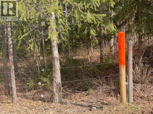 134 Wadlegger Road, Clearwater, BC 