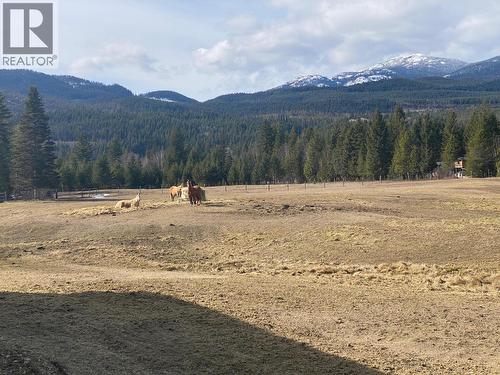 134 Wadlegger Road, Clearwater, BC 