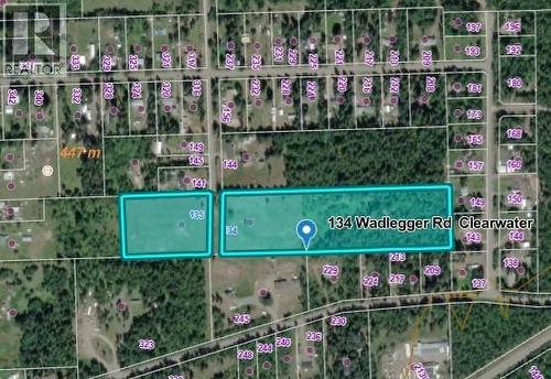 134 Wadlegger Road, Clearwater, BC 