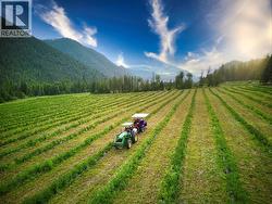 1238 Creighton Valley Road Lumby, BC V0E 2G1
