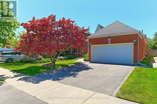 16 Harrop Avenue, Halton Hills, ON - Outdoor