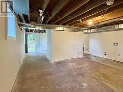Lower level walkout... - 