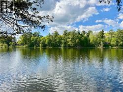View across the lake - 