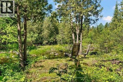 184 OLD PAKENHAM ROAD  Ottawa, ON K0A 1X0