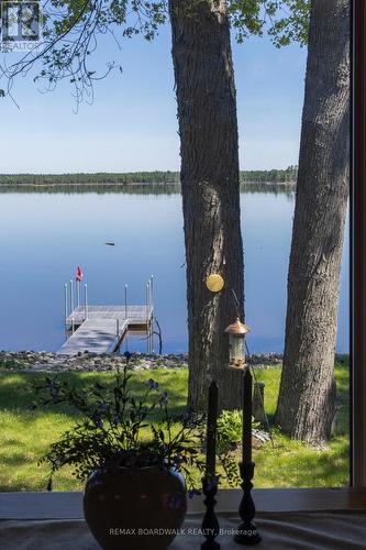 339 Leavoy Lane, Horton, ON 