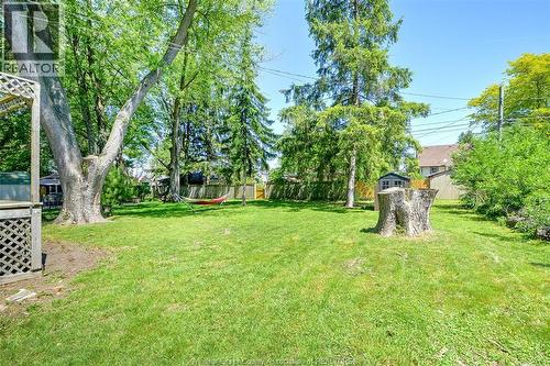 135 Maple, Lasalle, ON 