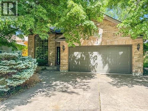 1950 Randolph, Windsor, ON - Outdoor