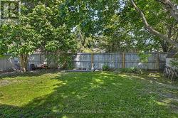 Fenced backyard - 