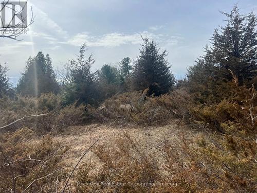 866 Centre Dummer Road, Douro-Dummer, ON 