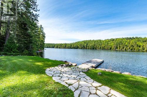 208 Red Fox Trail, Head, Clara And Maria, ON 
