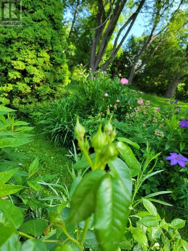 136 Old Danforth Road, Alnwick/Haldimand (Grafton), ON 