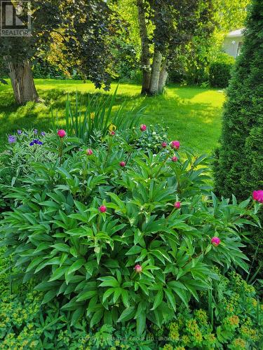136 Old Danforth Road, Alnwick/Haldimand (Grafton), ON 