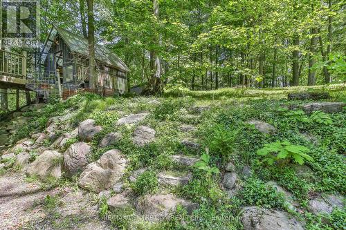 53860 Jackson Line, Bayham, ON 