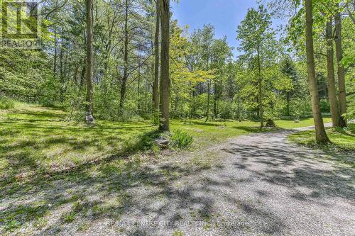 53860 Jackson Line, Bayham, ON 