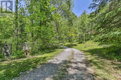 53860 Jackson Line, Bayham, ON 