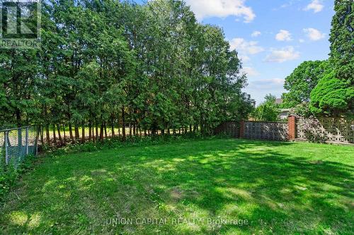 Private backyard framed by mature trees - 99 Abitibi Avenue, Toronto, ON 