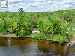 243 BEACH LANE Wollaston, ON K0L 1P0