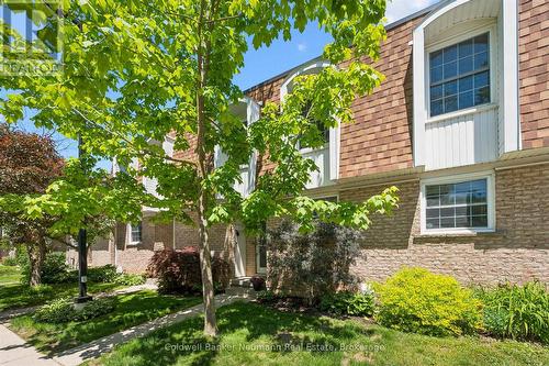 24 - 383 Edinburgh Road S, Guelph (Dovercliffe Park/Old University), ON 