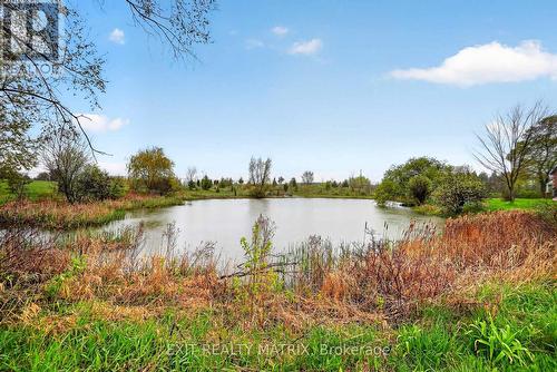 Your very own private pond: swim, paddle, skate! - 7499 Bank Street, Ottawa, ON 