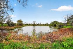 Your very own private pond: swim, paddle, skate! - 