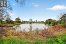 Your very own private pond: swim, paddle, skate! - 7499 Bank Street, Ottawa, ON 