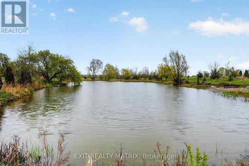 Private pond - 7499 Bank Street, Ottawa, ON 