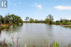 Private pond - 