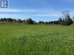 LOT 57 PRINYER'S COVE CRESCENT Prince Edward County (North Marysburg Ward), ON K0K 2T0