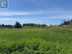 LOT 58 PRINYER'S COVE CRESCENT Prince Edward County (North Marysburg Ward), ON K0K 2T0