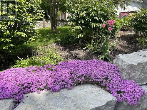 Tri-seasonal symphony of flowering plants - 153 Harris Street, Guelph/Eramosa (Rockwood), ON 